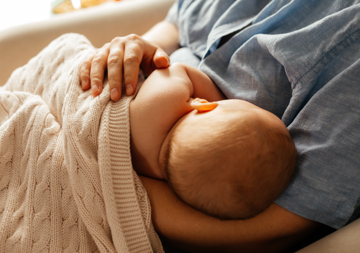 diet untuk ibu menyusui