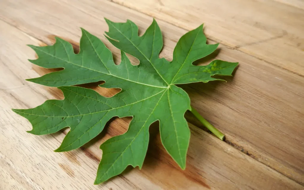 Tips memasak ayam kampung agar cepat empuk