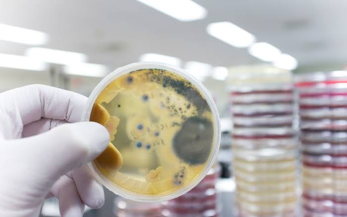 Bahaya Konsumsi Air Keruh di Musim Hujan dan Solusinya